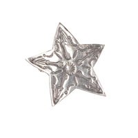Pin Badge - Star - FRONT